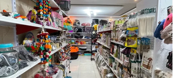 بیمارستان حیوانات خانگی های پت در گرگان