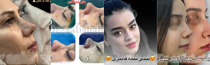 گالری تصاویر دکتر ولی اله عالیشاهی گرگان 2