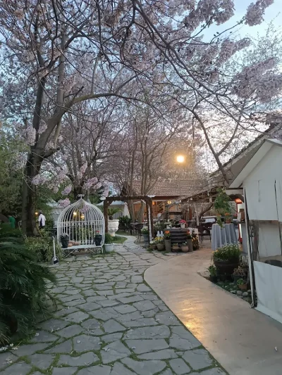 گالری تصاویر رستوران باغ ریبار گرگان 2