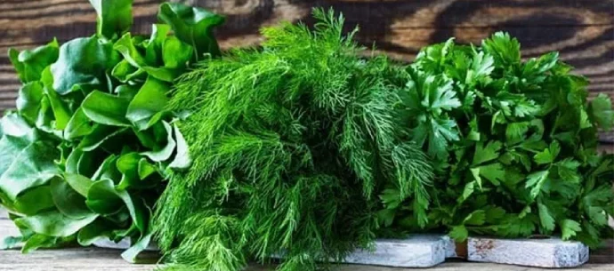 سبزی مارکت علیمحدی گرگان