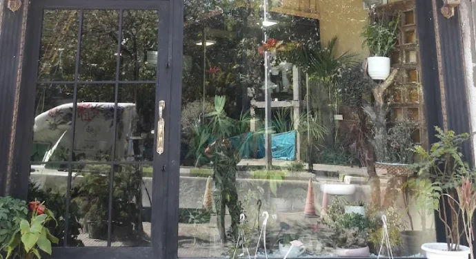 فروشگاه گل رابو در گرگان