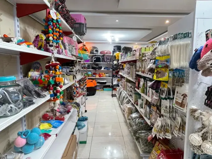 پت شاپ های پت گرگان