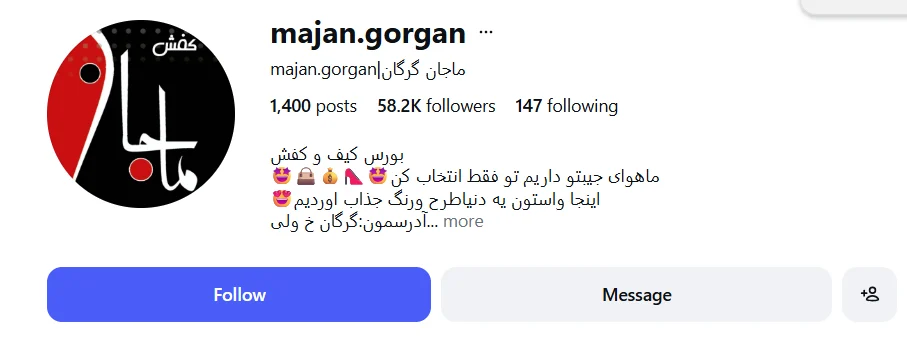 کفش فروشی ماجان گرگان