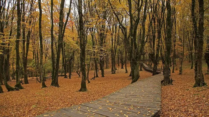جاده سلامت النگدره در پاییز
