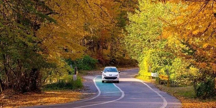 عکس جنگل النگدره گرگان در پاییز -5