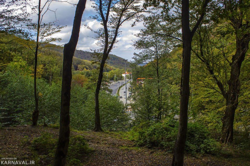 جنگل زیبای ناهارخوران گرگان در تابستان