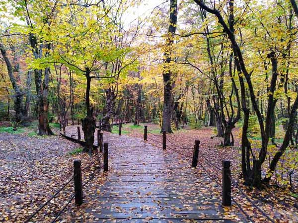 النگدره از مکان های دیدنی گرگان در پاییز