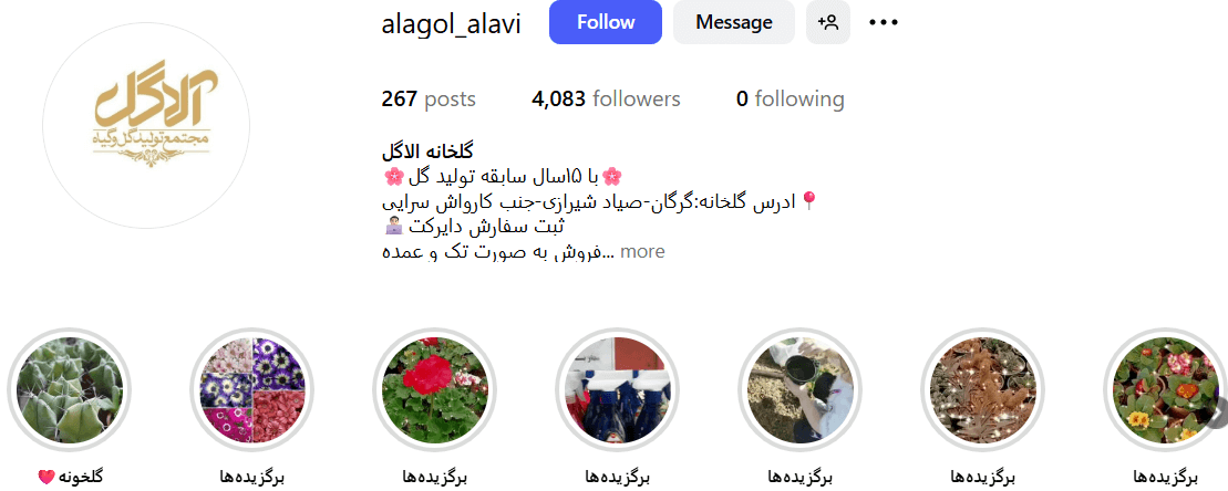 گلخانه بزرگ در گرگان، گلفروشی آلاگل گرگان