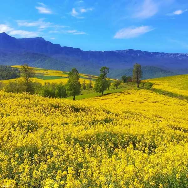 روستای نوچمن بهترین لوکیشن عکاسی در طبیعت گرگان