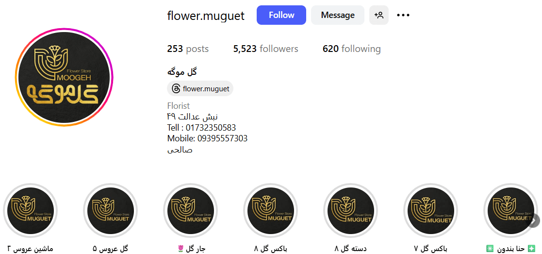 گلفروشی گرگان: موگه گل