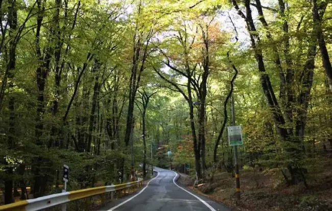 بهترین جاهای پاییزی در گرگان