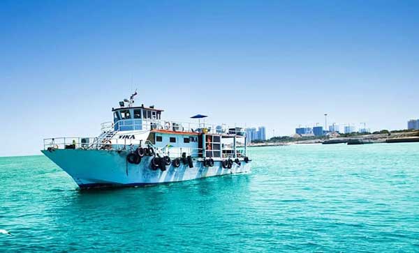 انواع تور کیش از گرگان