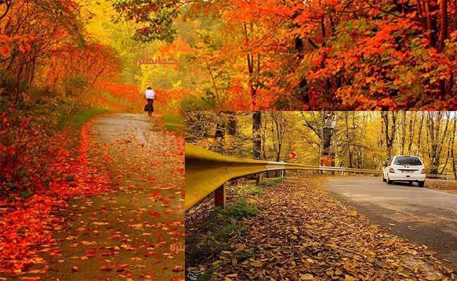 پیاده روی در مسیرهای پاییزی گرگان