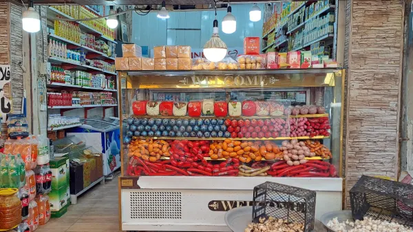 پروتئینی، مرغ، ماهی و گوشت شوکا گرگان